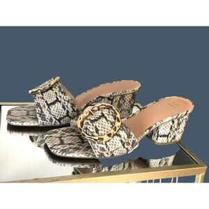 Snakeskin Block Heel Slide Sandals with Gold Buckle by A New Day - Women's Shoes